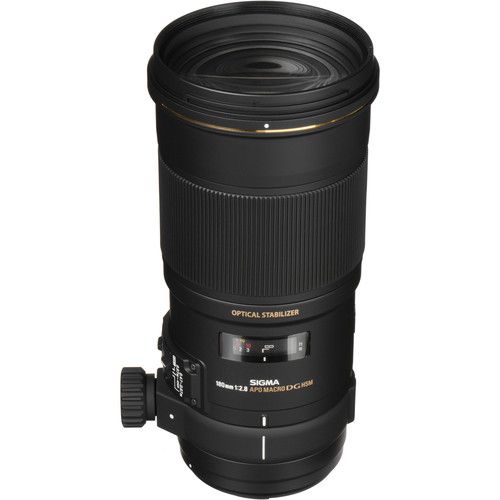 Xem ảnh gốc