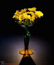 bông hoa được “vẽ” bằng một cái đèn bút nhỏ (pen light), thời gian phơi sáng 30 giây, f/16 ISO 100.